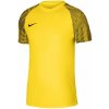 Nike Df Academy Jsy SS Jr DH8369 719