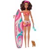 Mattel Barbie Barbie surferka s doplnkami HPL69