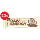 Energetická tyčinka Bombus RAW Energy 20 x 50 g