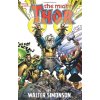 Thor By Walter Simonson Vol. 2 Simonson WaltPaperback