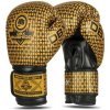 BUSHIDO Boxerské rukavice DBX B-2v23 - 10oz