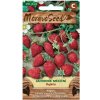 MoravoSeed Semená Jahoda mesačná, 350 s