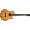 Tanglewood TUN 4 CE