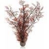 biOrb Plastová rastlina - Sea Fan karmínová 39 cm