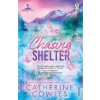 Chasing Shelter - Catherine Cowles