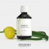 Zinzino | BalanceOil+ Vegan 300 ml