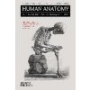 Human Anatomy