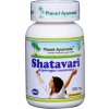 Shatavari Kapsule 60ks Planet Ayurveda