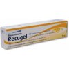 Recugel očný gél 10 g