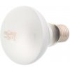 Reptil Planet Daylight Frosted 75W