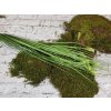 Dekoračná tráva Kussa green
