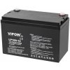 VIPOW 12V 100Ah BAT0225