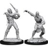D&D: Nolzur s Miniatures Wight & Ghast