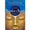 Buddha's Brain (Brožovaná)