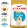 ROYAL CANIN Golden Retriever Puppy 12 kg granule pre šteňa zlatého retrievera