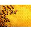 RAVENSBURGER Puzzle Challenge: Včely na medovej pláste 1000 dielikov