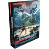 Wizards of the Coast Dungeons & Dragons: Essentials Kit