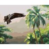 zuty Zuty - Maľovanie Podľa Čísel - Orol V Lese A Stromy (D. Rusty Rust), 40X50 Cm, Plátno (8596530185482)