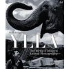Ylla: The Birth of Modern Animal Photography - Pryor Dodge, Hirmer Verlag