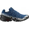 Pánska bežecká obuv Salomon Speedcross 6 Gore-Tex Poseidon/Black/Lunar Rock UK 9