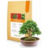 Symbivit Bonsai mykoríza pre bonsaje 150 g