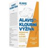 Alavis kĺbová výživa pre psy 90 tbl
