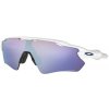 Oakley Radar EV Path oo9208-47