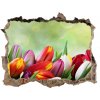 Samolepící díra na stěnu Farebné tulipány 95x64 cm