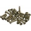 Fender Road Worn Pickguard/Control Plate Screws