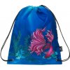 Dievčenské školské vrecko na prezuvky, alebo na šport BAGMASTER SHOES GALAXY 9 C VIOLET/BLUE Bagmaster