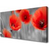 Obraz Canvas Maky rastlina príroda 100x50 cm