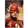 Flash superhrdina obraz na plátne