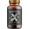 BrainMax Saccharomyces boulardii Cestovní probiotika s MOS & FOS 90 rostlinných kapsúl