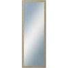 DANTIK - Zrkadlo v rámu, rozmer s rámom 50x140 cm z lišty LYON strieborná (2704)