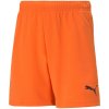 Trenky Puma teamRise Short Jr 704943 08