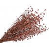 Sušený ľan - kytica cca 100g - staroružový