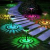 Solárna záhradná lampa LED RGB, zapichnutá do trávy, 48 cm, 2 ks