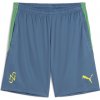 Kraťasy Puma Blue 6330234