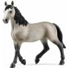 Schleich 13955 Klisna plemene Selle Français