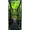 AG Design fototapeta FTN V 2937 Forest bridge 90 x 202 cm (VLIESOVÁ FOTOTAPETA 1-DIELNA)