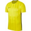 Nike | M NK BRT ACDMY TOP SS GX2 | žltá| M