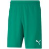 Puma teamRISE Short M 704942 05 (85079) Black 2XL