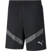 Puma TeamFINAL Training Shorts