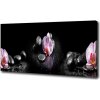 Foto obraz na plátne do obývačky Orchidea 100x50 cm