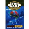 Star Wars: The New Jedi Order - Dark Tide Ruin (Stackpole Michael A)