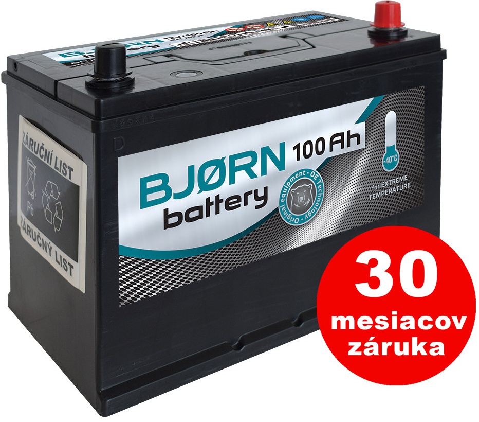 Bjorn 12V 100Ah 750A BA1010