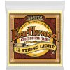 Ernie Ball 2010 Earthwood 12 Light