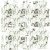 Takoy Panel so strihom 36 dámska softshell bunda SPORT kvetinové zátišie-NS-27278
