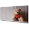 Obraz canvas srdce medvedík 100x50 cm