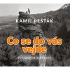 Co se do vás vejde - CDmp3 (Čte Martin Stránský) - Kamil Pešťák